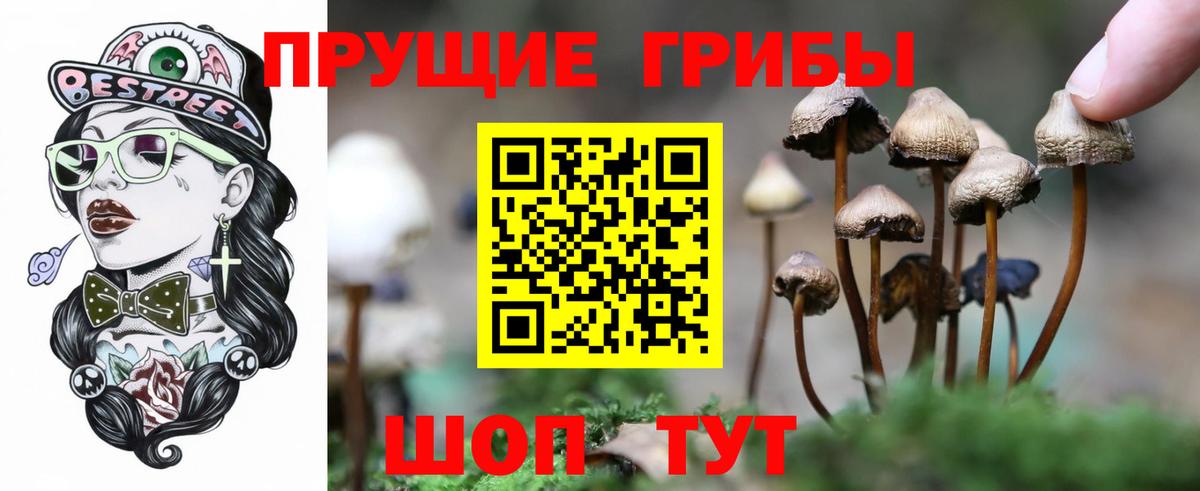 Оренбург  что такое наркотик  Галлюциногенные грибы Magic Shrooms  Вход с VPN  Псилоцибиновые грибы мухоморы 