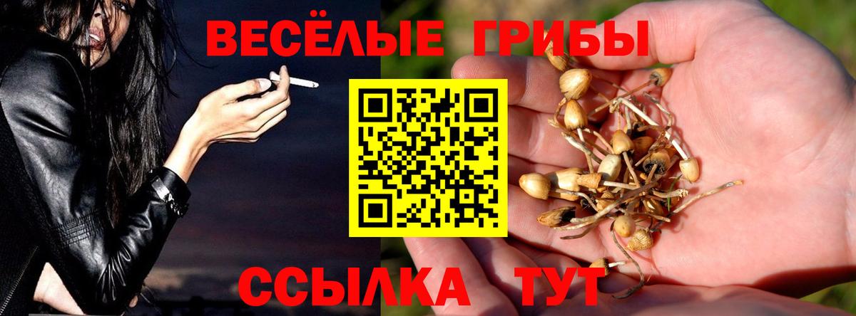 Псилоцибиновые грибы MAGIC MUSHROOMS Оренбург